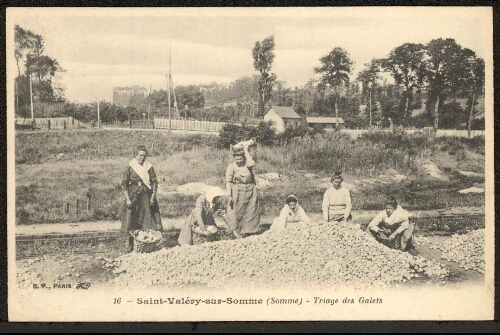 Saint-Valery-sur-Somme (Somme) : triage des galets