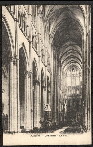 Amiens : Cathédrale, la nef