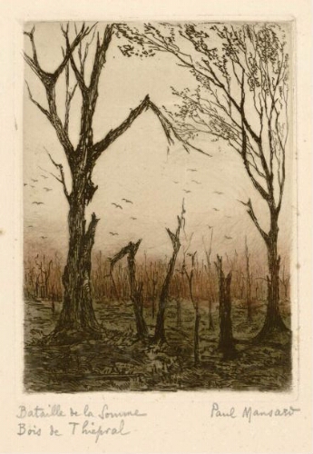 Bataille de la Somme : Bois de Thiepval. - par Paul Mansard.