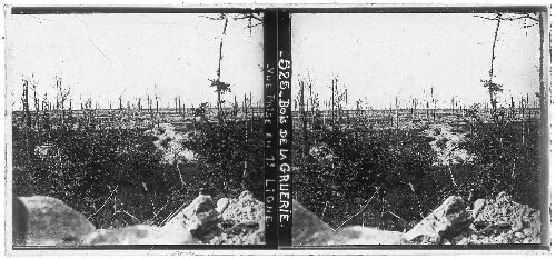 Bois de la Gruerie, vue prise en première ligne