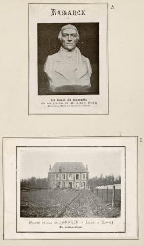 A) Lamarck, le buste de Bazentin dû au ciseau de M. Albert Roze, directeur de l'école des Beaux-Arts d'Amiens. B) Maison natale de Lamarck à Bazentin (Somme) (En restauration).