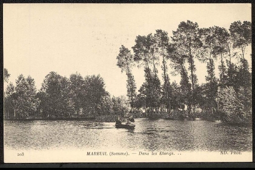 Mareuil (Somme) : dans les étangs