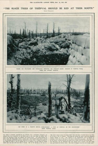 The black trees of Thiepval should be red at their roots. - Extrait de "The Illustrated London News", 16 septembre 1916.