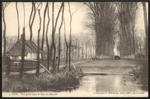 Rue : vue prise dans le bois du Broutel