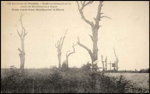 Environs de Verdun. Embranchement de la route de Montfaucon, à Esnes